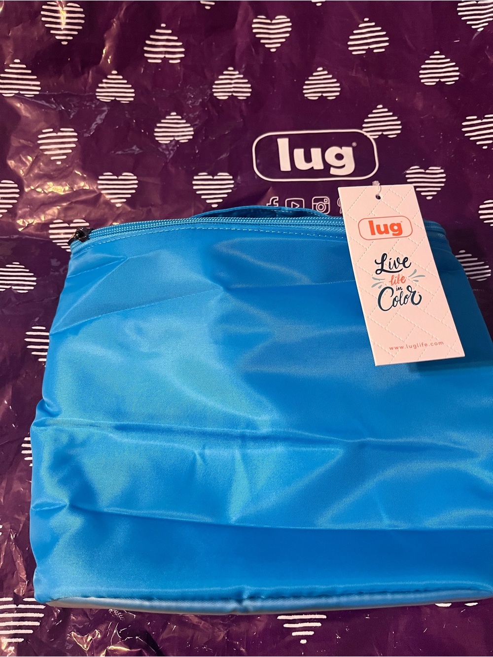 NWT Dolly Cosmetic Case in Sky Blue